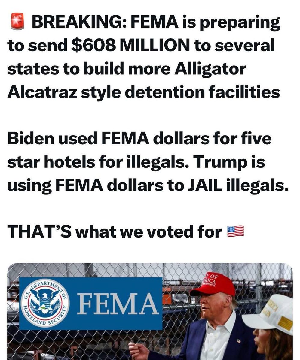 🐊🐊🐊🐊🐊🐊🐊🐊🐊