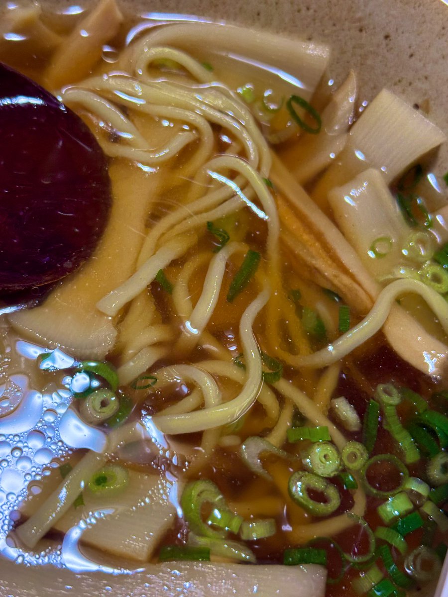 sakanasubibibi's tweet image. 水煮メンマ煮込んで味付けて…
鶏ガラ醤油ラーメンに盛り盛り。

ちなみにメンマは直径10センチ以上もある竹の節から遠いところ切って無理矢理乳酸発酵させてなんとか柔らかくして食えるようにした狂気の食べ物。