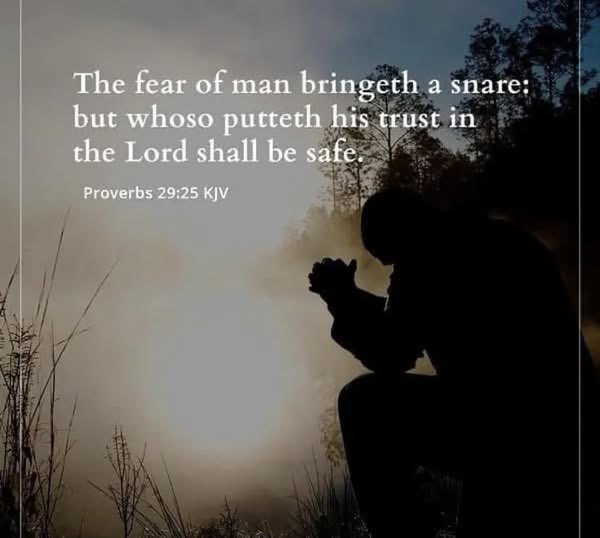 j_reb36770's tweet image. Do not fear! God is always with us! Every step we take, we can take in faith because God promised to never leave us nor forsake us! He will lead us through anything and everything life throws at us and is there every step we take.
