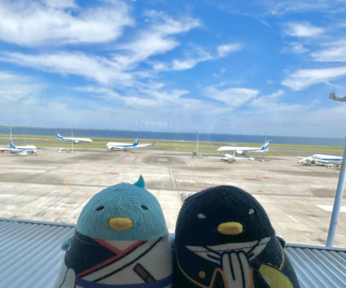 tckw_gh's tweet image. HNDに寿司食べに行って腹パンパンになるまで食べて飛行機見てJOY4引いて歩き回って中華腹パンパンになるまで食べて全ターミナルで飛行機乗らずに一日遊んだ〜🥳(ご飯は美味しくて写真撮り忘れた)
空港たのしい!