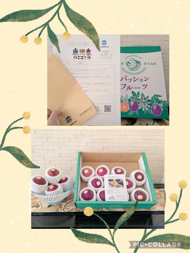 鹿児島経済連「ふるさと便」
<a href="/furusatobin_ja/">鹿児島経済連「ふるさと便」</a>  様より
ふるさと便CPに当選して
鹿児島県産パッションフルーツLサイズ16個が届きました🎁💕

とても美味しそうです☺️
表面にシワが出始めたら食べ頃
なので楽しみです😊🎶
改めて投稿させて頂きます📝

この度は有難うございました

#kazuの当選報告