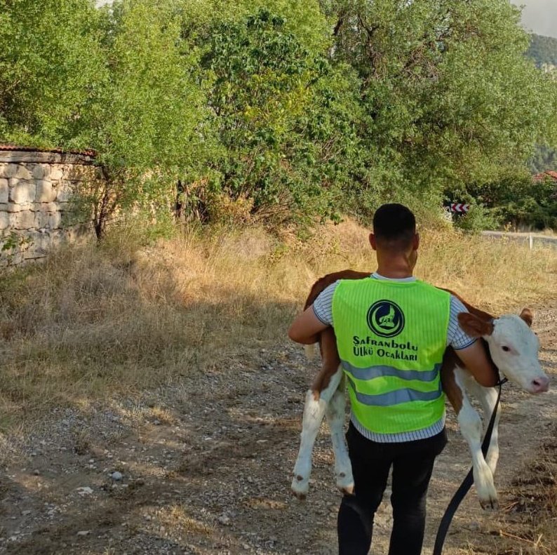 Bengü Türk (@benguturktv) on Twitter photo Ülkü Ocakları, orman yangınlarında mahsur kalan can dostlarımızı kurtarmak için seferber oldu. Alevlerin ortasında yaşam mücadelesi veren hayvanları güvenli bölgelere tahliye eden gönüllüler, sessiz dostlarımızın sesi, nefesi oldu...
<a href="/Ulku_Ocaklari/">Ülkü Ocakları</a> Ülkü Ocakları, orman yangınlarında mahsur kalan can dostlarımızı kurtarmak için seferber oldu. Alevlerin ortasında yaşam mücadelesi veren hayvanları güvenli bölgelere tahliye eden gönüllüler, sessiz dostlarımızın sesi, nefesi oldu...
<a href="/Ulku_Ocaklari/">Ülkü Ocakları</a>
