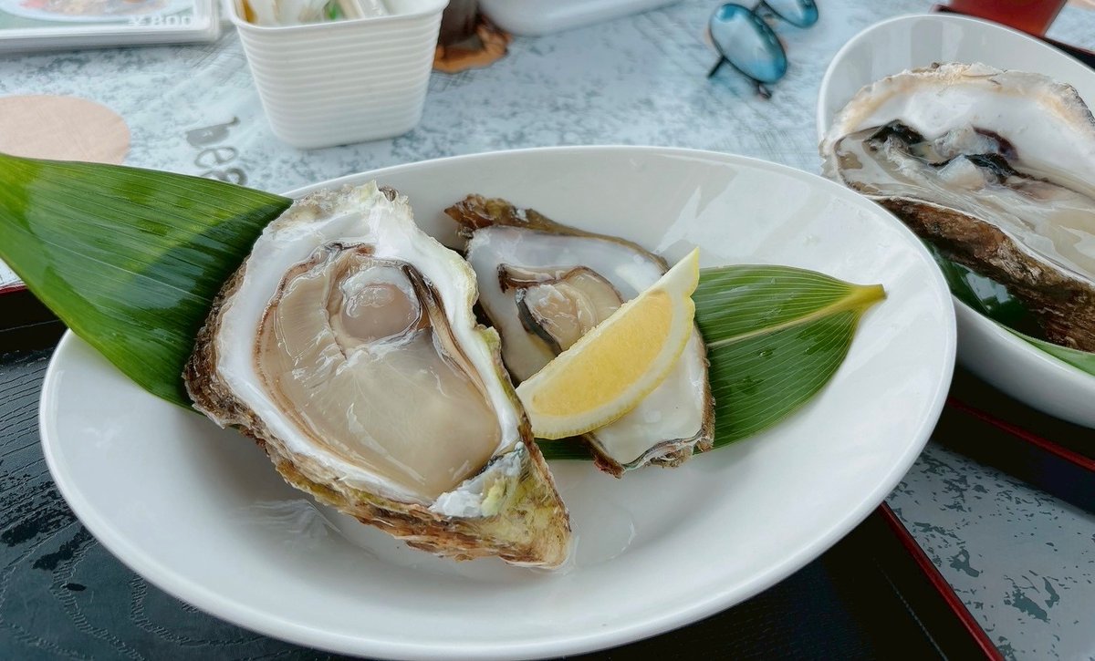 evanvanvavan's tweet image. 今日は海行って、最近ずっと食べたかった牡蠣を食べました🦪ｳﾏｽｷﾞ