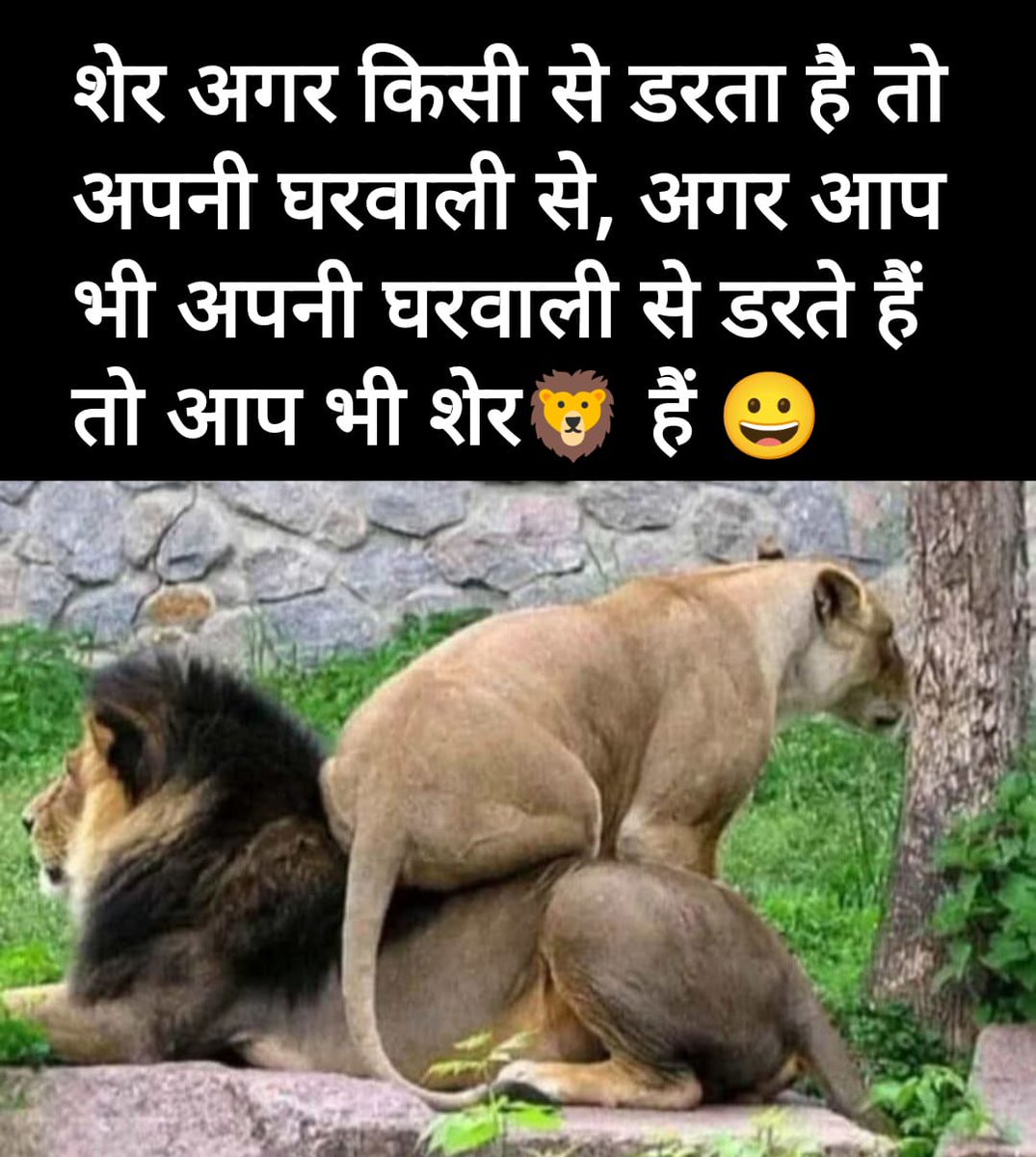 RaviBSharma1's tweet image. New Definition of the Lion 😇 😅