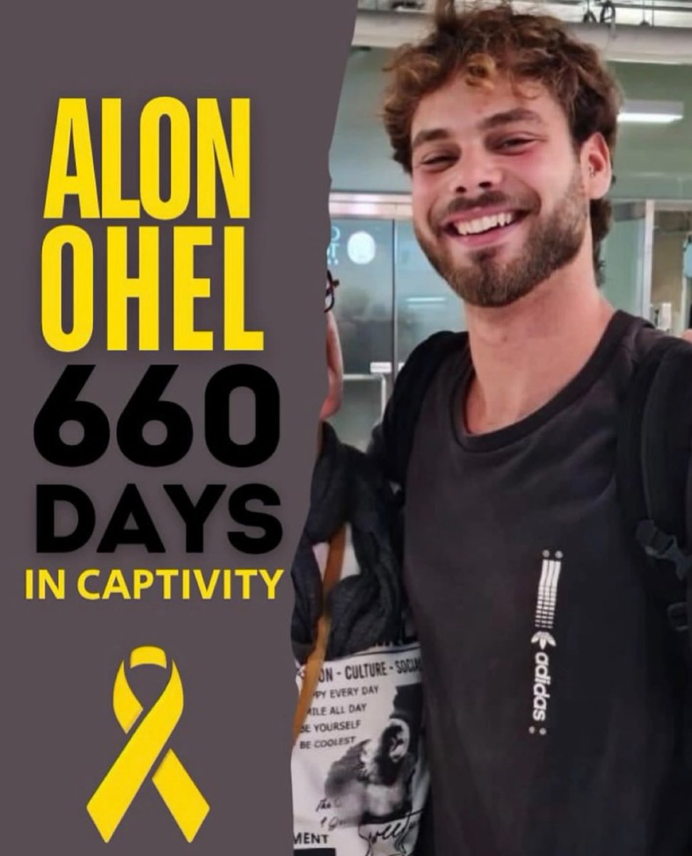 Lionesssa12's tweet photo. Bring Alon back from captivity https://t.co/XvMC3DZ9Oo
