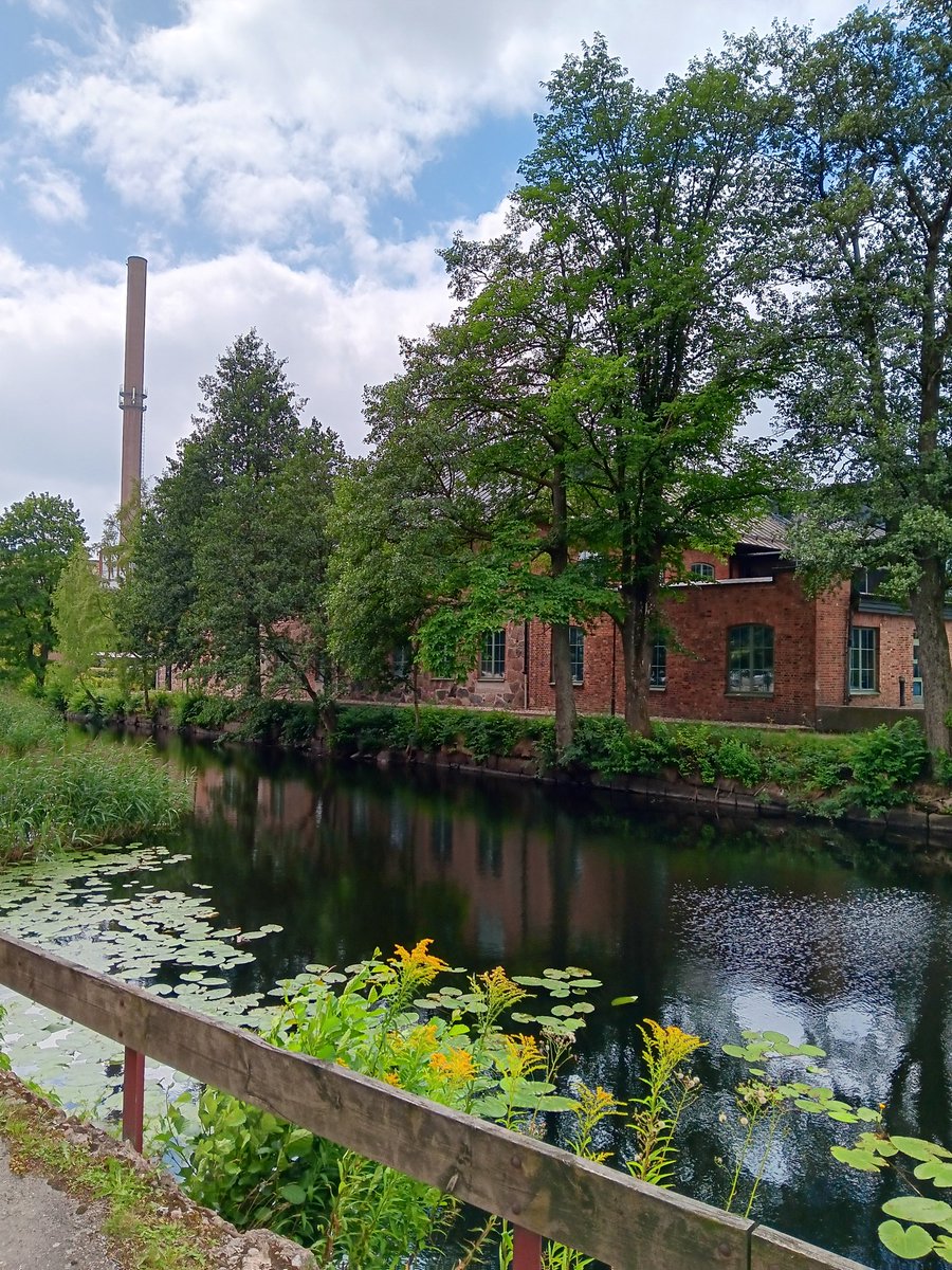 AnetteJonasson's tweet image. A walk by the river, always something nice to see along the way
🌳☺️🍃