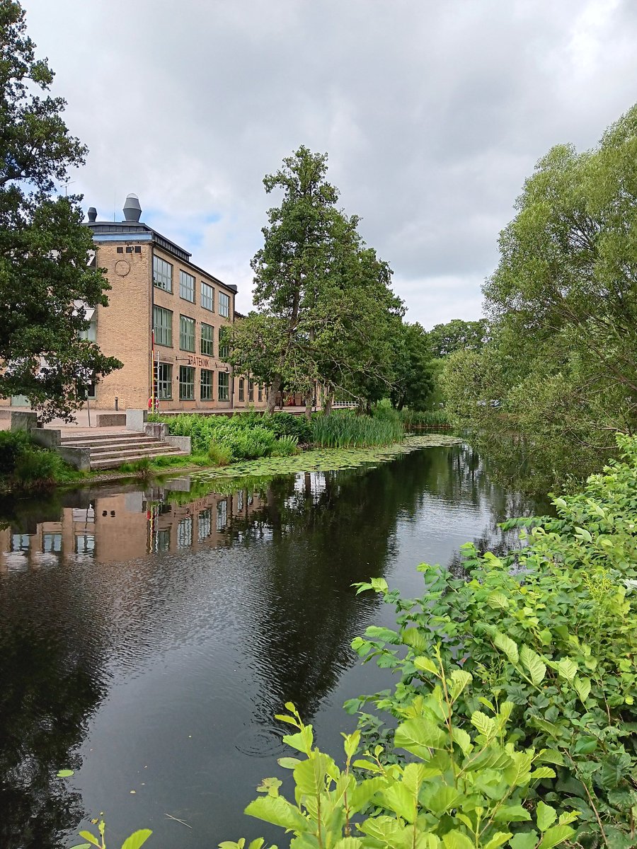 AnetteJonasson's tweet image. A walk by the river, always something nice to see along the way
🌳☺️🍃