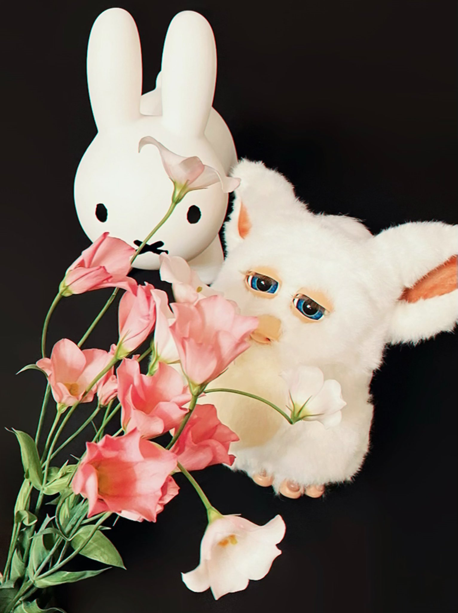 ファービー - Search / X