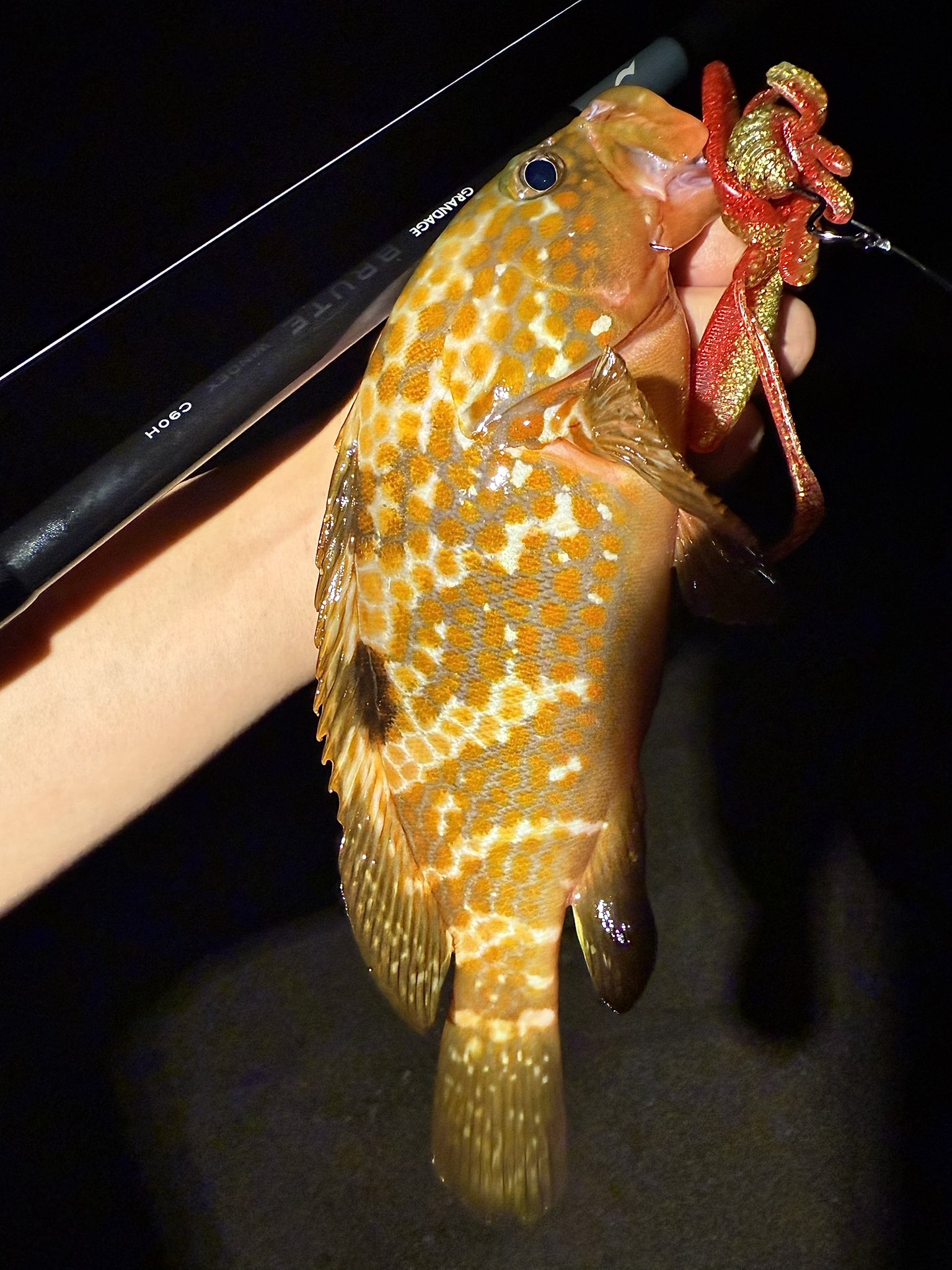 トキ　アピア　グランデージ　ブルート　c90H WINDEX GRANDAGE BRUTE WINDEX C90H | ロッド,ロックフィッシュ