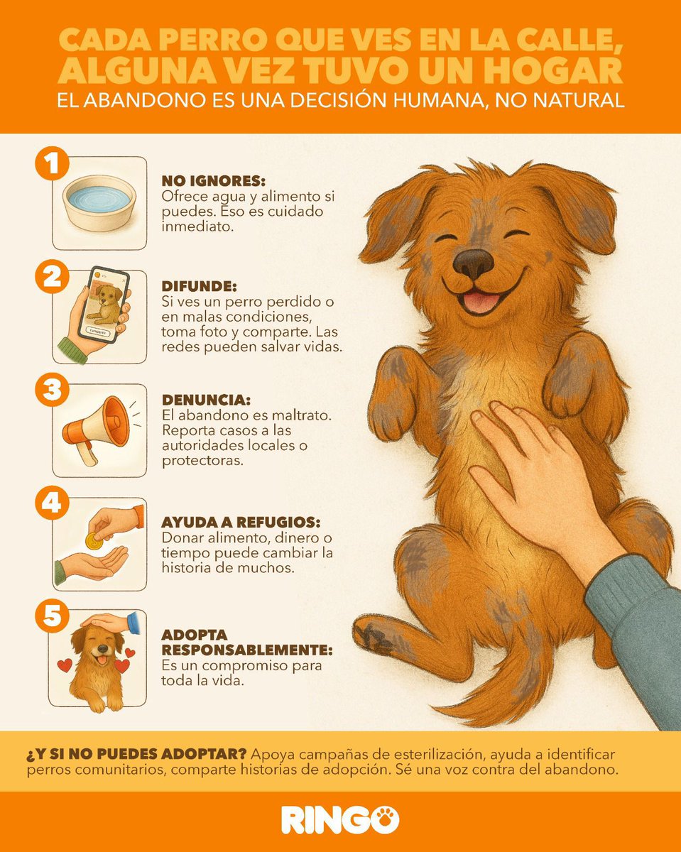 efectoringo's tweet image. 🐶 Hoy es el Día Internacional del Perro Callejero…
¿Sabes cómo puedes ser un cuidador responsable también con los perros sin hogar?