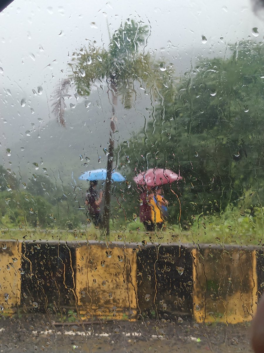 curious__coffee's tweet image. When nature paints in layers—glass, rain, and green.

#AkshArt 
#theme_pic_India_layers