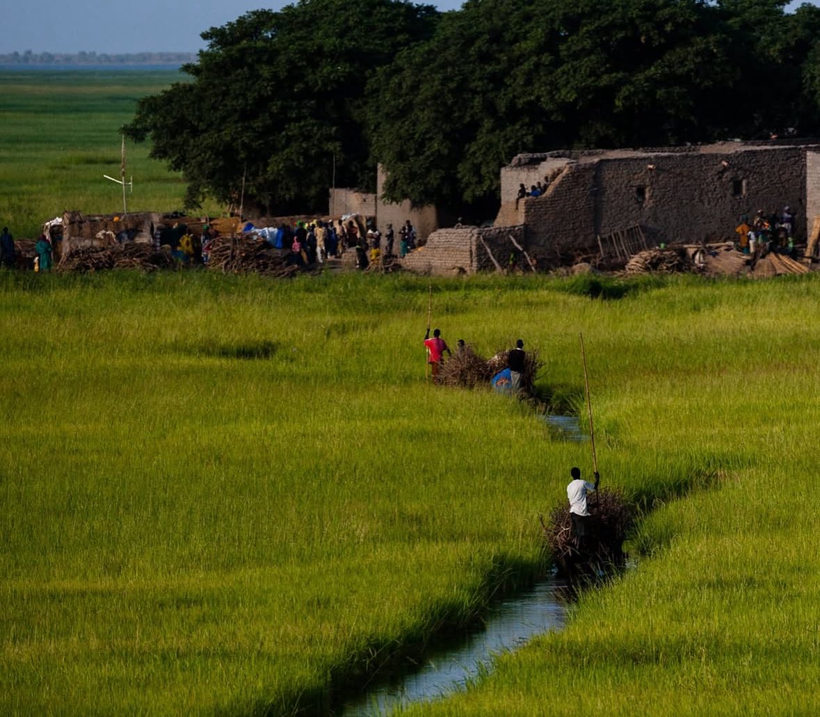 MemoireduSahel's tweet image. Sudu Baba 🇲🇱 dans la région de Mopti