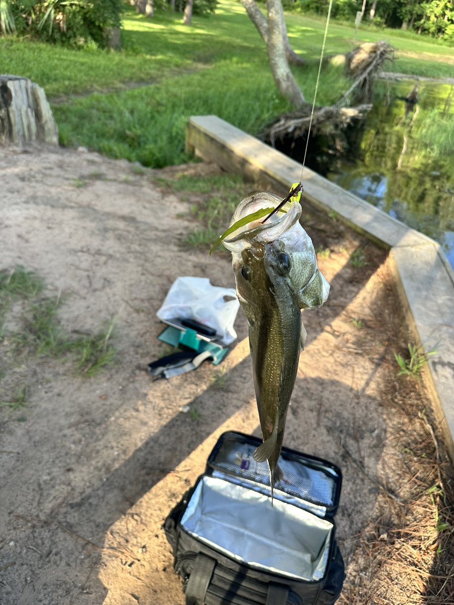 Bout to cook up some dinner 🎣