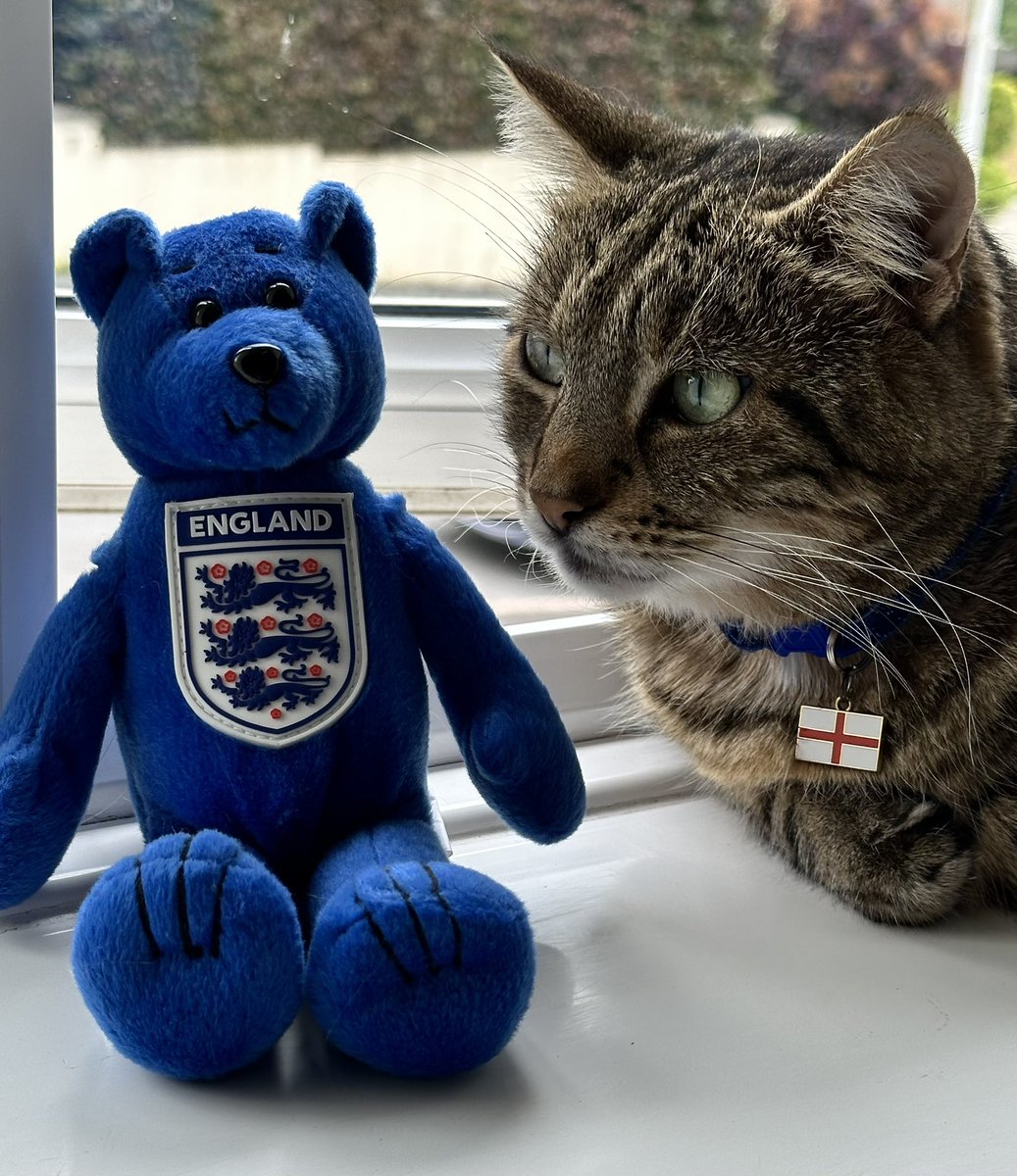 Hello everybody 👋 
We have our special England collars on &amp; are getting ready to cheer on the fabulous lionesses with our mummy 🏴󠁧󠁢󠁥󠁮󠁧󠁿 
We are all very excited here 
Oliver Munchkins 💗
Wellie JellyCat 🩵