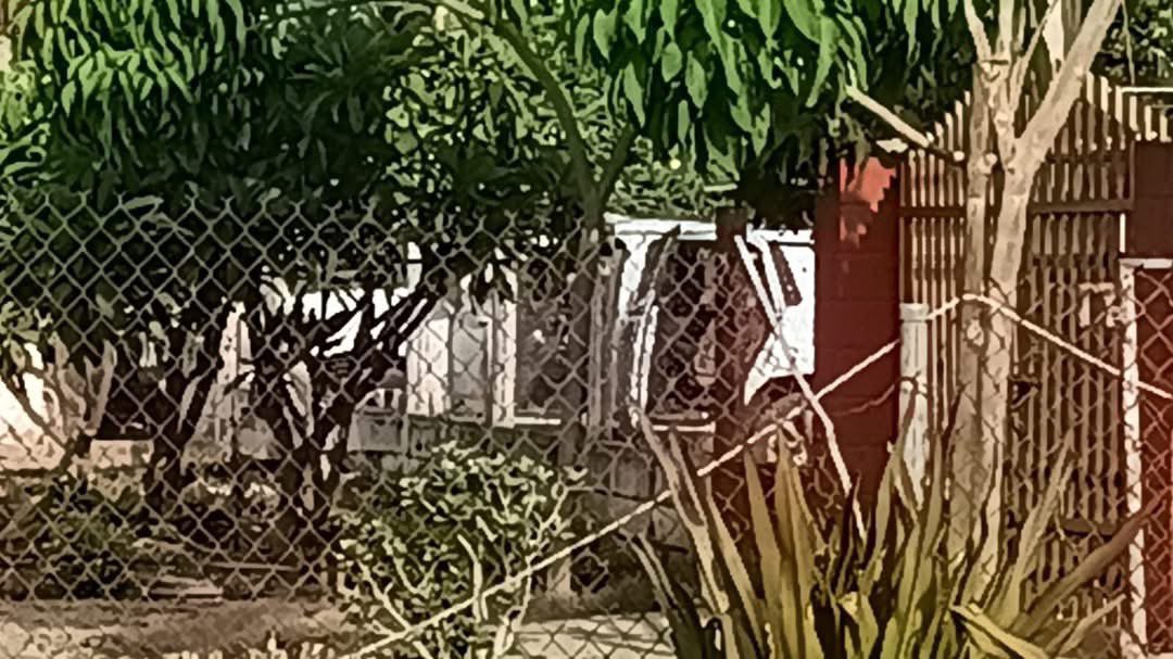 EditorMzt's tweet image. 🚨 Última hora: Se reporta un enfrentamiento armado en la comunidad de Yebavito, Navolato, que dejó como saldo tres civiles armados abatidos y un policía estatal herido. En el lugar fueron aseguradas armas largas, equipo táctico y un vehículo.
#Sinaloa #Culiacán #Navolato #Última