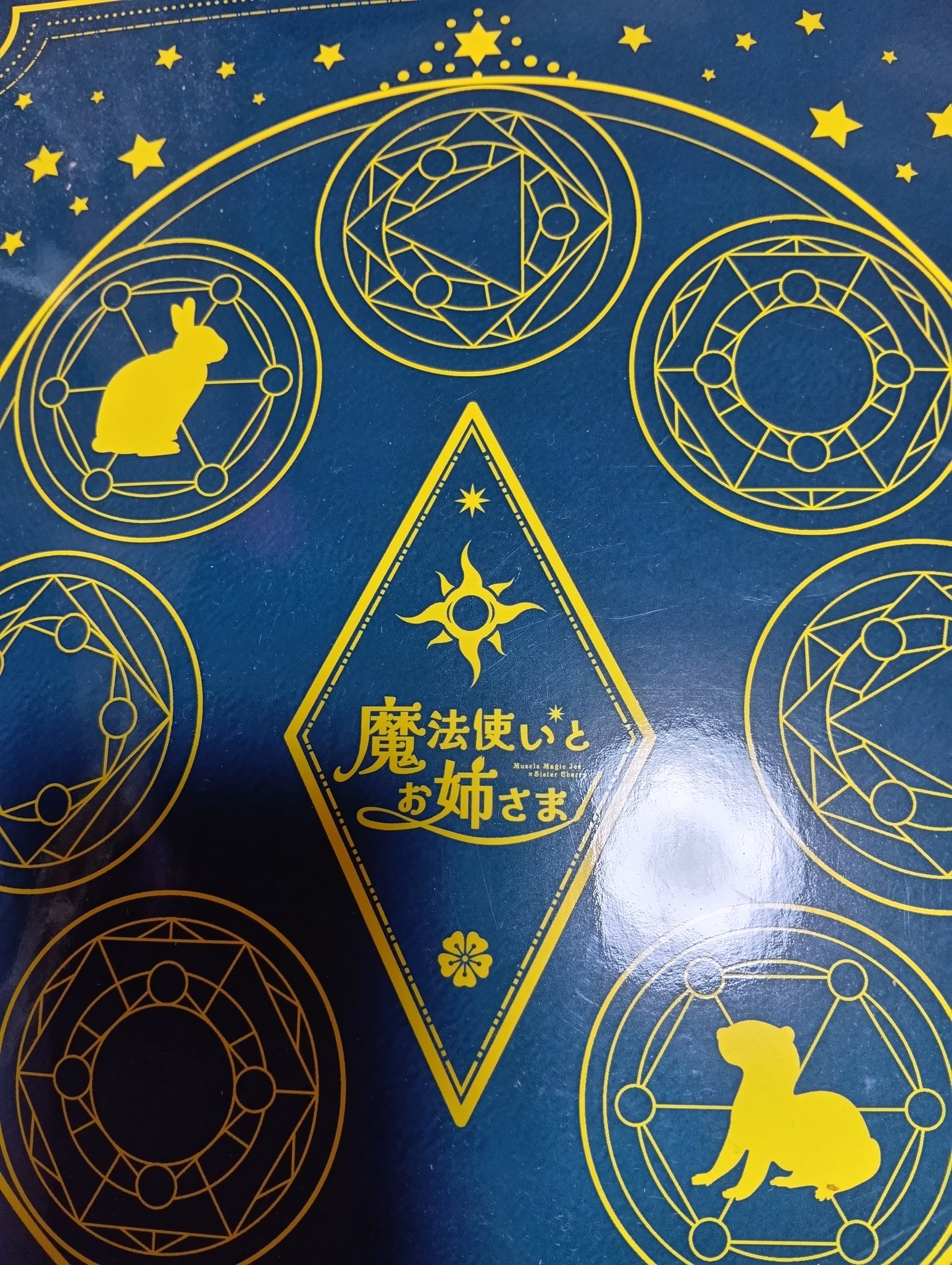 うる覚えの虎 R 竜虎相搏つ 販売 | [G05] シフトカード ピックアップ！ | Z/X