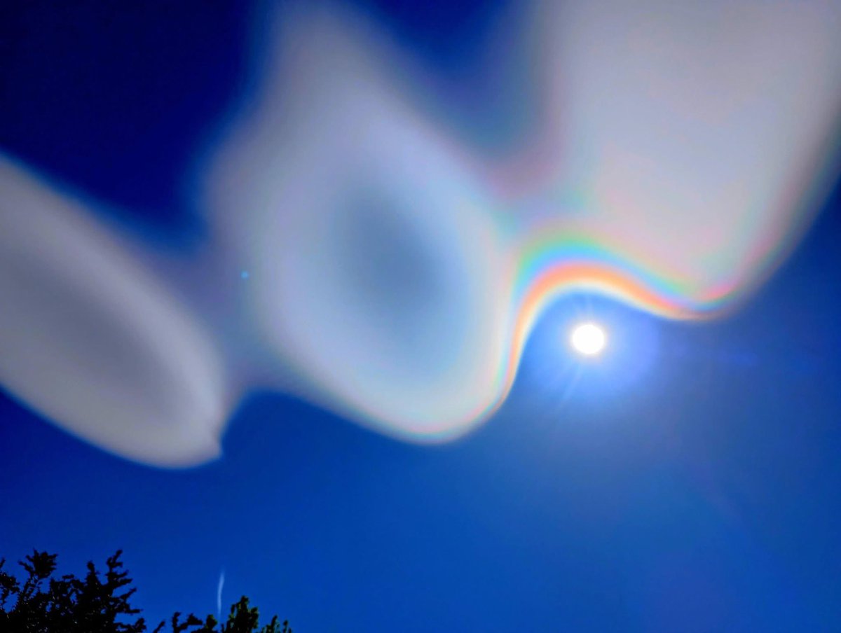 771starseed's tweet image. Reno, Nevada, USA