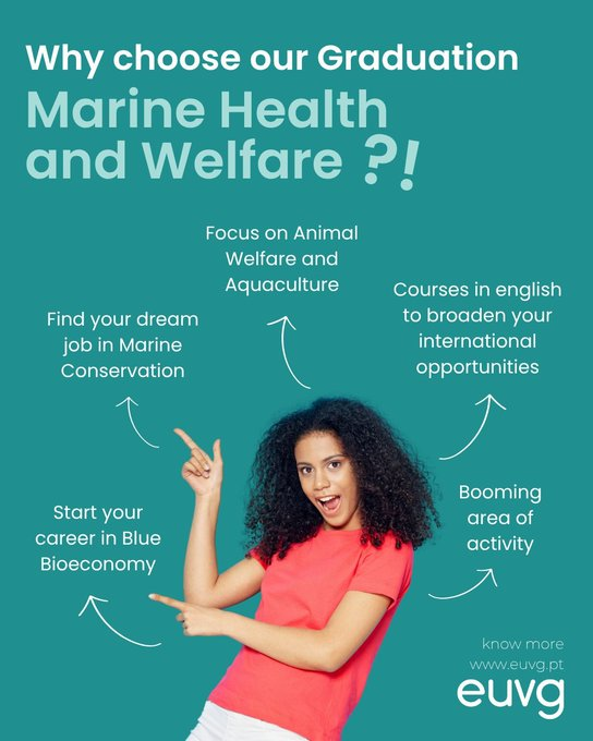 🌊New bachelor’s alert! #EUVG &amp; #BlueBioAlliance  launch Marine Health &amp; Welfare: a Europe-first degree focused on marine animal care🐟

🔬Taught in English, merging biology, veterinary science &amp; blue bioeconomy.

🗓️Apply before 4 Aug '25 
Info👉shorturl.at/Go7aZ