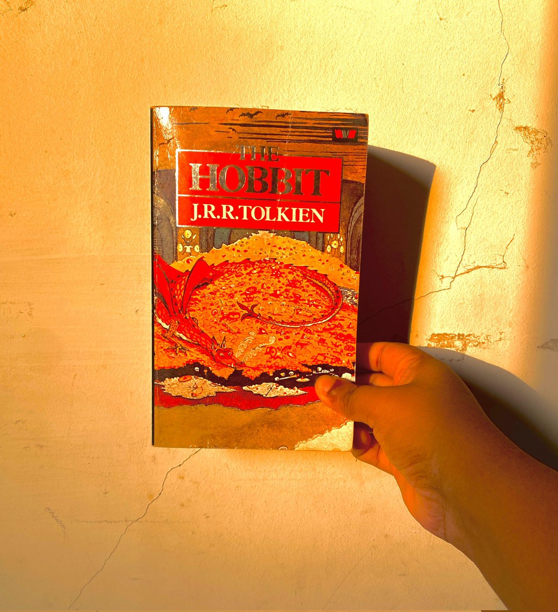 wretchedmedea's tweet image. my hostel room walls are as old as the halls of erebor with none of the dwarvish beauty. and the only gold in near proximity is the little rectangular slab of evening light that i exploit for taking pictures of my books.