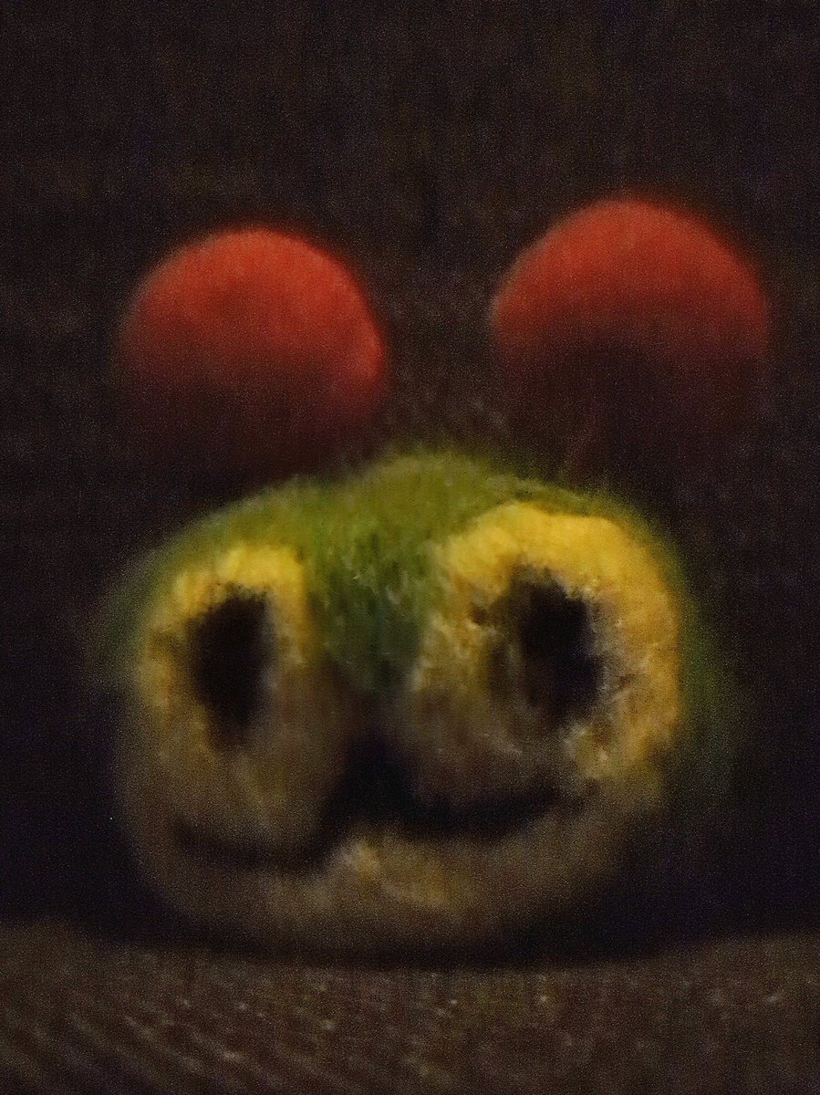DeathMinkuru's tweet image. はやく寝ないとデスみんくる来るよ！