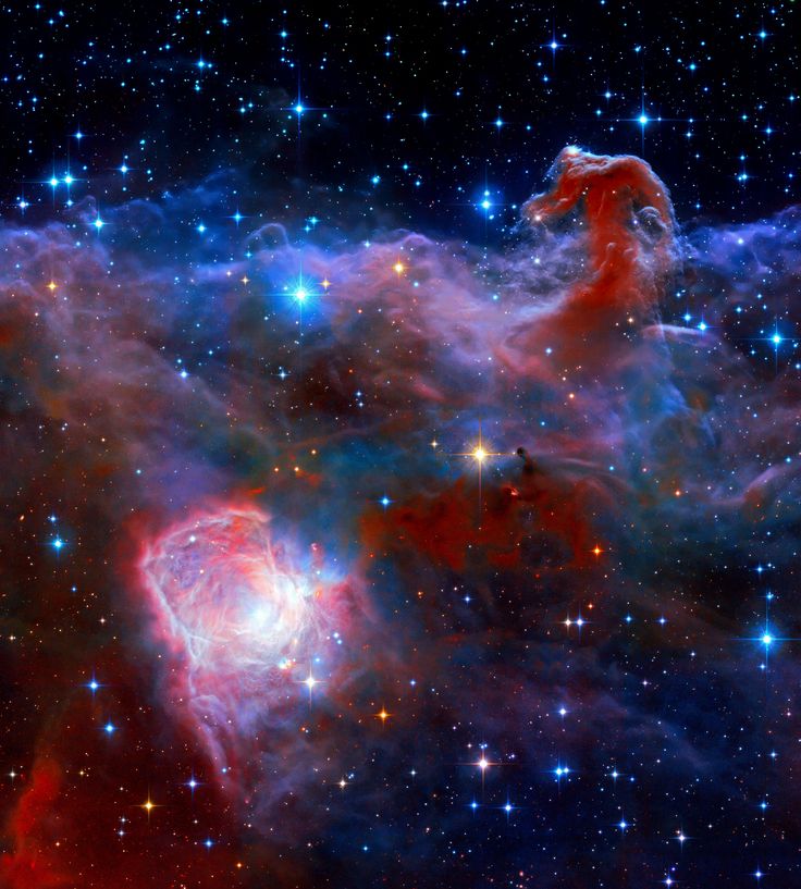 Madriles6211's tweet image. Horsehead Nebula in infrarred by Hubble telescope #NASA