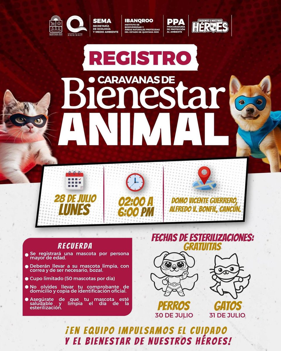 MaraLezama's tweet image. 🐶🐱 ¡Vecinas y vecinos de Alfredo V. Bonfil!
Este lunes 28 de julio acompáñennos al registro de la Caravana de Bienestar Animal 🐾 en el domo Vicente Guerrero, de 2:00 a 6:00 p.m.
Habrá esterilizaciones gratuitas para perritos 🐕 el 30 de julio y para gatitos 🐈 el 31 de…