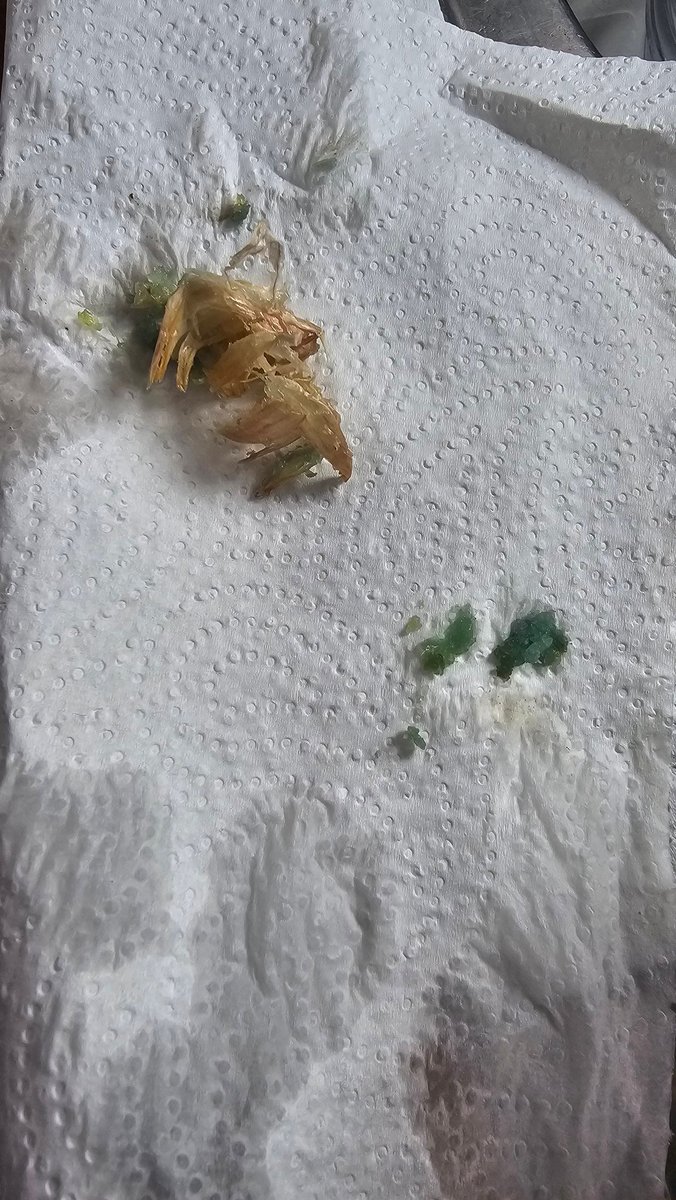 What's going on here. Fresh garlic crushed, left overnight and now turned green. Never seen this before. Any ideas?