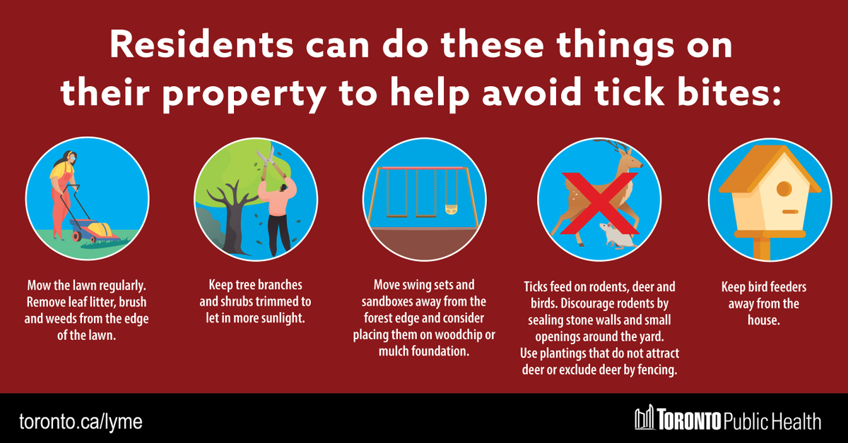 TOPublicHealth's tweet photo. Dealing with ticks starts at home.
Here’s what #CityOfTO residents can do to avoid ticks and tick bites.
See more tips: https://t.co/Dpnfr122QK
#TickTalkTO https://t.co/OZ27SH6r0n