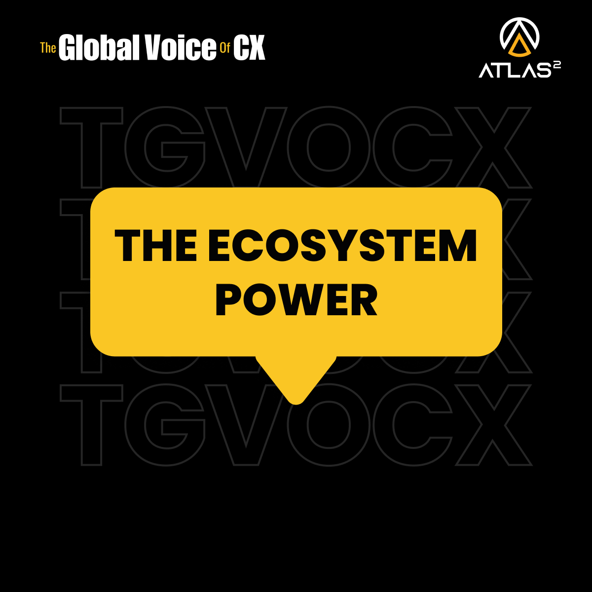47% Tier 1/2 performance

Cape Town concentration creates competitive clustering.

Talent sharing elevates the entire ecosystem. Infrastructure investment benefits all participants. Knowledge transfer accelerates improvement. Competitive clustering drives excellence.

Geography