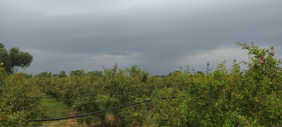 📍 Budiwada

A weather moment shared by Weather &amp; Radar user Mahendra Kumar. ⛈️🌿📸

#Budiwada #RainySkies