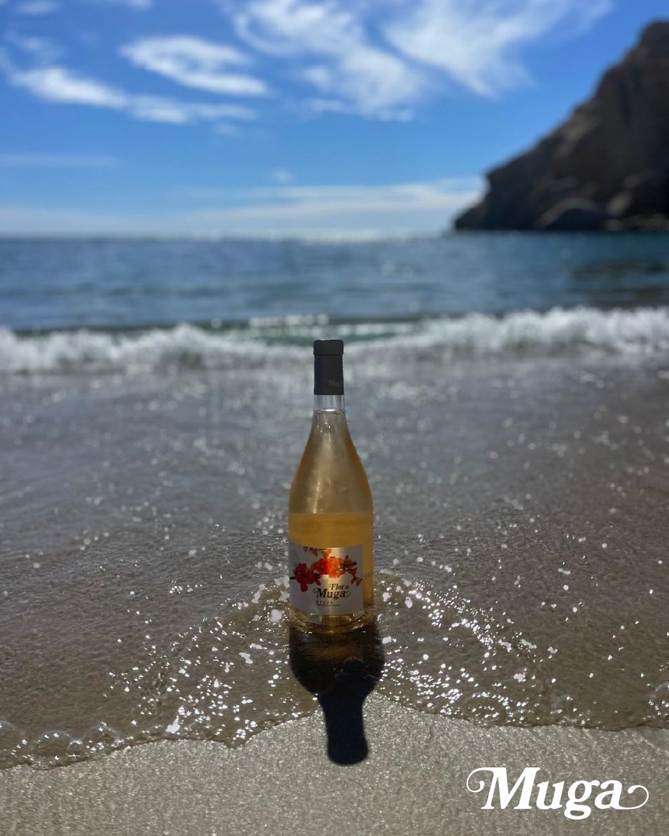bodegasmuga's tweet image. 🏝️Porque el verdadero verano se mide en pequeños placeres. Playa, montaña o donde sea... que nunca falte Muga.

#BodegasMuga #ExperienciaMuga