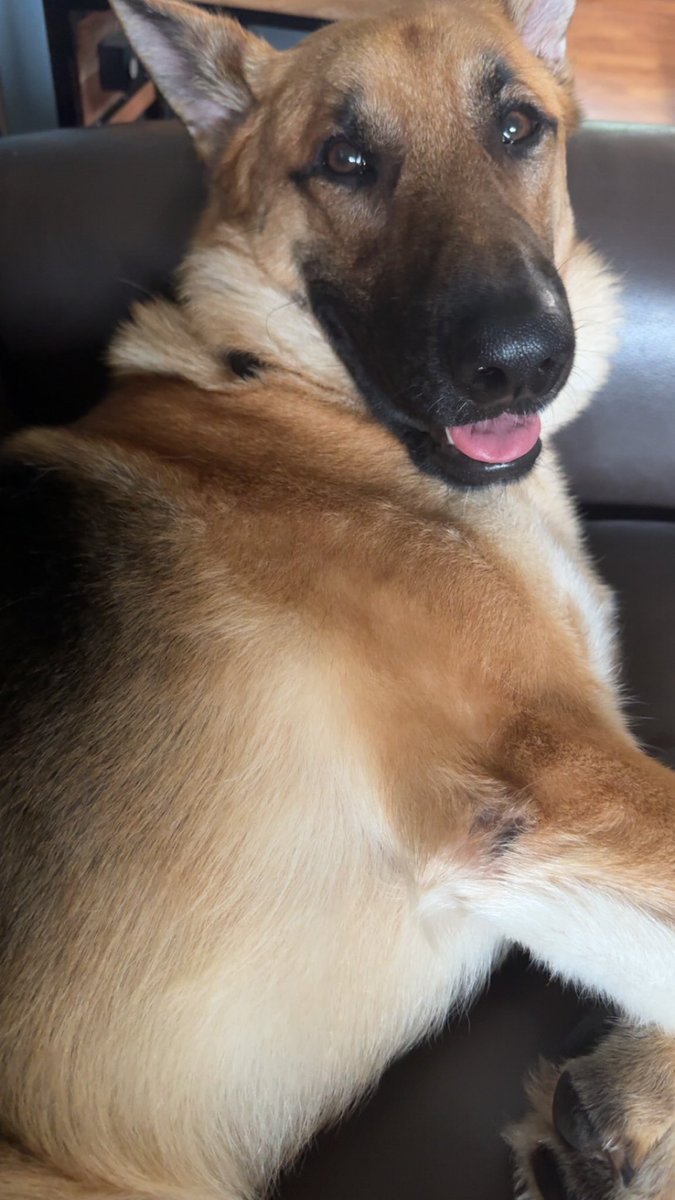 Kyle Rutledge, MS, MHA, AT, ATC (@ksr_atc) on Twitter photo Rain caused #deckcoffee to become #couchcoffee today. Can’t have perfect weather everyday. Couch pets were the move today <a href="/ATCoffeeCrew/">AT Coffee Crew</a> <a href="/NighthawkATC/">NMS Sports Medicine</a> <a href="/CaitrATC/">Caitlin Place</a> <a href="/hannahleigh_ATC/">Hannah Clayton, MS, LAT, ATC</a> <a href="/nervin04_/">Nathan Ervin</a> <a href="/quillons/">Denise</a> <a href="/EdWozATC/">Edward Wozniakewicz, MS, LAT, ATC⚕</a> <a href="/MeganSmithATC/">Megan Smith, MBA, MEd, LAT, ATC</a> <a href="/RHSRamsATC/">Jennifer VanHee, AT</a> <a href="/AshTapesAnkles/">Ashley S, MS, LAT, ATC</a> Rain caused #deckcoffee to become #couchcoffee today. Can’t have perfect weather everyday. Couch pets were the move today <a href="/ATCoffeeCrew/">AT Coffee Crew</a> <a href="/NighthawkATC/">NMS Sports Medicine</a> <a href="/CaitrATC/">Caitlin Place</a> <a href="/hannahleigh_ATC/">Hannah Clayton, MS, LAT, ATC</a> <a href="/nervin04_/">Nathan Ervin</a> <a href="/quillons/">Denise</a> <a href="/EdWozATC/">Edward Wozniakewicz, MS, LAT, ATC⚕</a> <a href="/MeganSmithATC/">Megan Smith, MBA, MEd, LAT, ATC</a> <a href="/RHSRamsATC/">Jennifer VanHee, AT</a> <a href="/AshTapesAnkles/">Ashley S, MS, LAT, ATC</a>