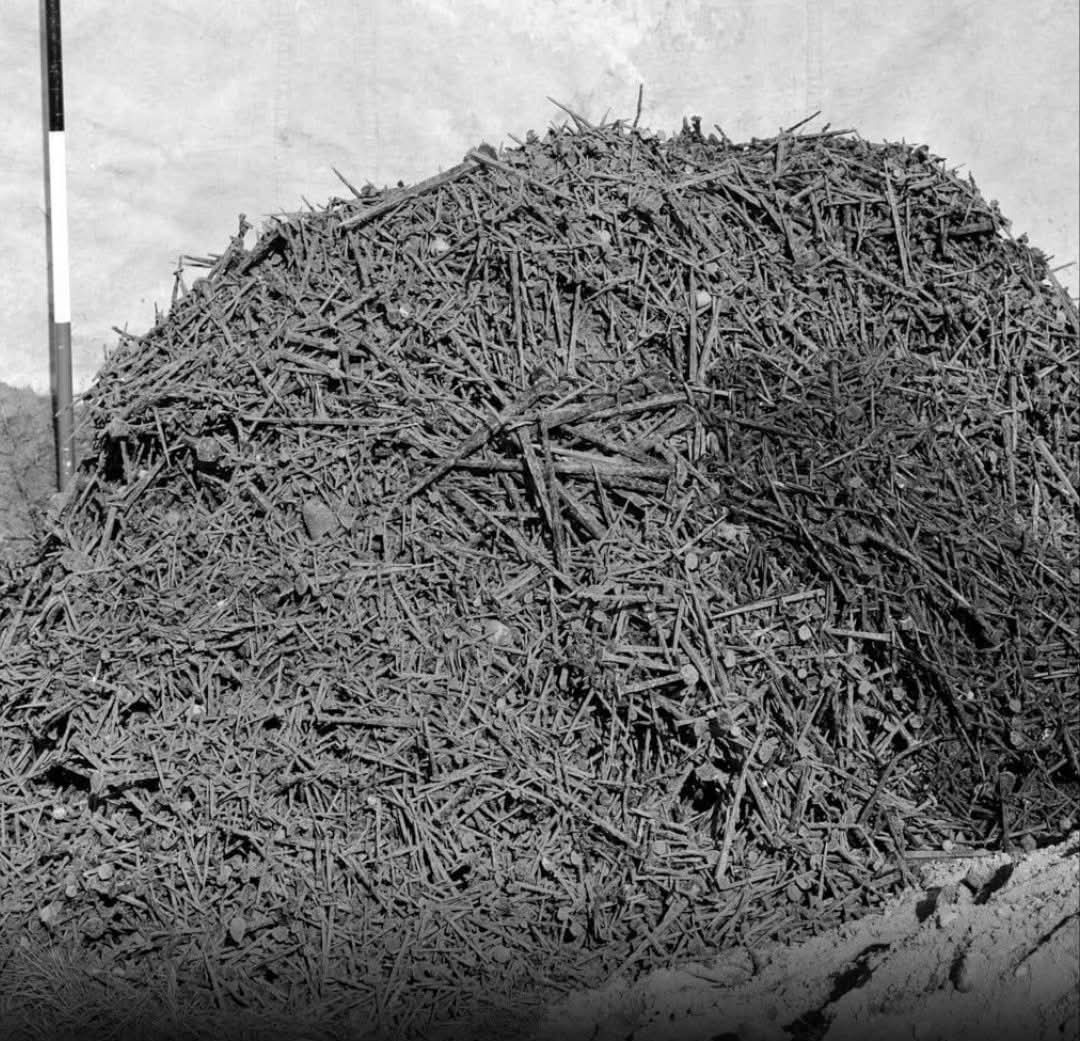 The remarkable hoard of Roman nails discovered at Inchtuthil, Perth and Kinross, Scotland 🏴󠁧󠁢󠁳󠁣󠁴󠁿, dating to approximately 87 AD, represents a unique archaeological find. This vast collection, totaling an astonishing 875,400 iron nails, was deliberately buried by the Roman army as