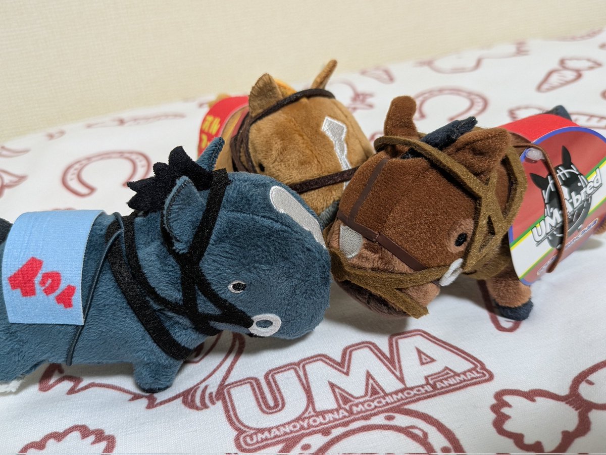 maSAkaRI_OC's tweet image. #UMAbred ぬいシリーズ
なんだかんだ大分お招きできました(⁠^⁠^⁠)