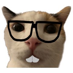phoomtin's tweet image. 👋🤓

#Phoomtin_2HOUSES