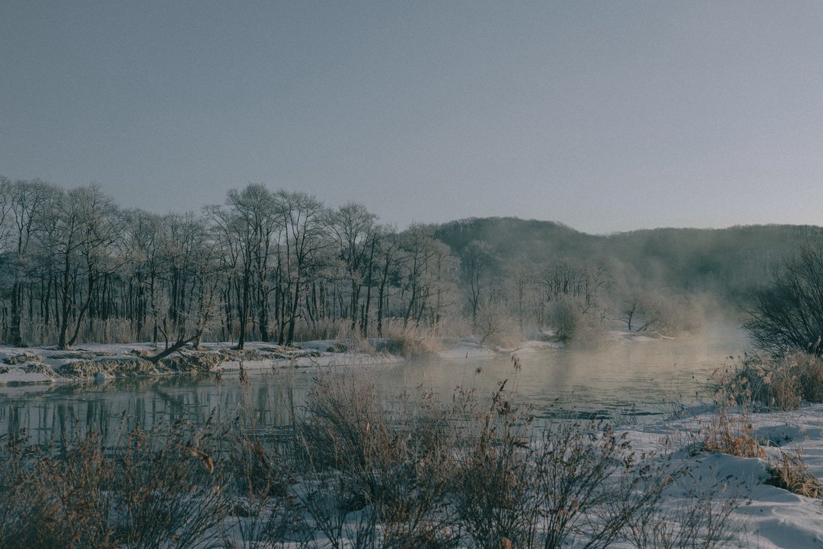 Icy images from Hokkaido to cool you down