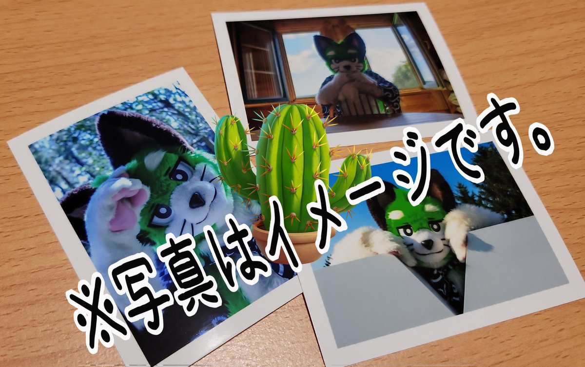 りきゅーたミニ写真、小山の物販に持っていきます！
89×63mmサイズで、ちっちゃいです！
1枚200円、3枚だと500円！全9種類予定です☺
#りきゅ写