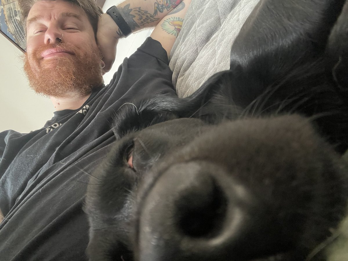 It’s safe to say that Pickle is knackered after this mornings visit to the field