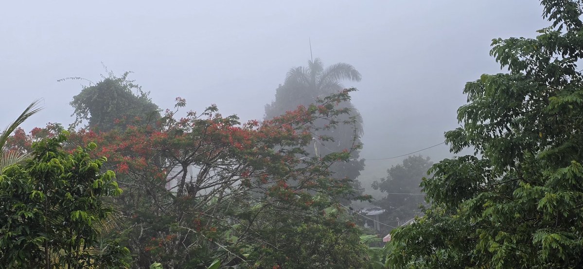 NormaOrtizRodr4's tweet image. Nublado en las montaΓ±as de Cidra. Bendecido Domingo. ππ»ππ»πβοΈ @adamonzon @DeborahTiempo @SLopezTiempo @EliRobainaTV @Carlostoletv @carlosomartv @rcortestv2 @zamiratv @CycloforumsPR @SusanSoltero @KevinDelbrey @hectorroldantv @TWAPuertoRico @Zona_del_tiempo