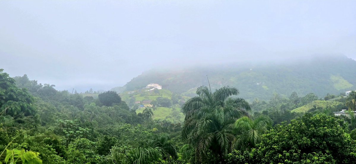 NormaOrtizRodr4's tweet image. Nublado en las montaΓ±as de Cidra. Bendecido Domingo. ππ»ππ»πβοΈ @adamonzon @DeborahTiempo @SLopezTiempo @EliRobainaTV @Carlostoletv @carlosomartv @rcortestv2 @zamiratv @CycloforumsPR @SusanSoltero @KevinDelbrey @hectorroldantv @TWAPuertoRico @Zona_del_tiempo