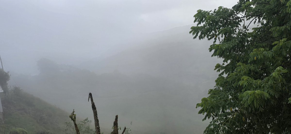 NormaOrtizRodr4's tweet image. Nublado en las montaΓ±as de Cidra. Bendecido Domingo. ππ»ππ»πβοΈ @adamonzon @DeborahTiempo @SLopezTiempo @EliRobainaTV @Carlostoletv @carlosomartv @rcortestv2 @zamiratv @CycloforumsPR @SusanSoltero @KevinDelbrey @hectorroldantv @TWAPuertoRico @Zona_del_tiempo