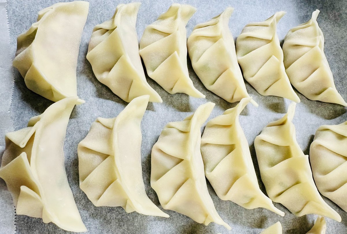 HighWiz's tweet image. 餃子。🥟

自己流だけど、妻が感動するほど美味いのさ。