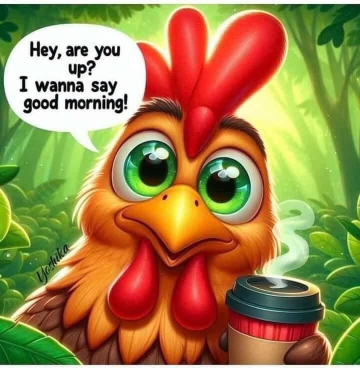 Daflippityflop1's tweet image. GM. I hope everyone slept well.