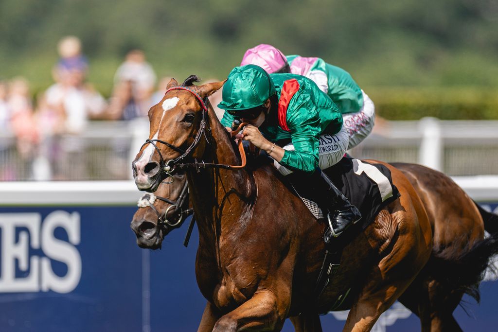EclipseSports's tweet image. CALANDAGAN left no doubt that he's he’s Europe’s top older middle-distance star! after storming victory in the Group 1 King George VI & Queen Elizabeth Stakes at Ascot!
Will we see him @delmarracing for the @breederscup Longines Turf?
📸 @Himawarikaz