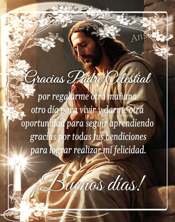 Padre Celestial, gracias por regalarnos otra mañana, otro día para vivir, y por darnos otra oportunidad de aprender, por tus bendiciones.