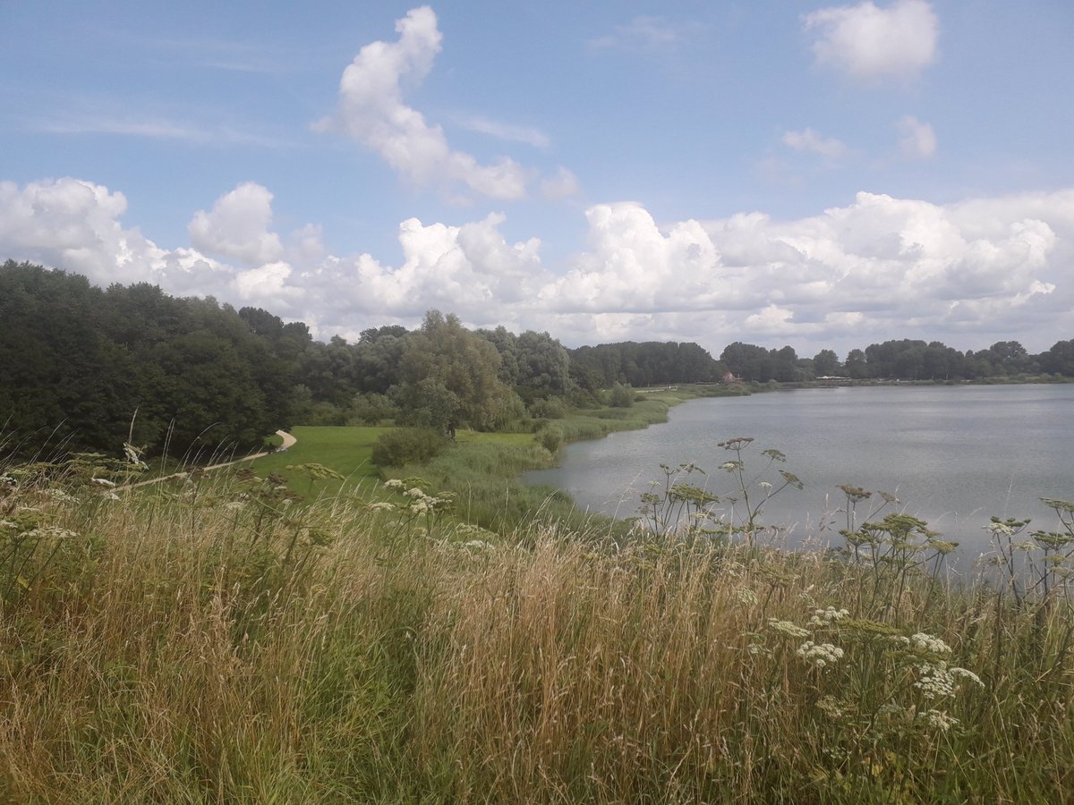 EVervelend's tweet image. Eenzame hoogte..