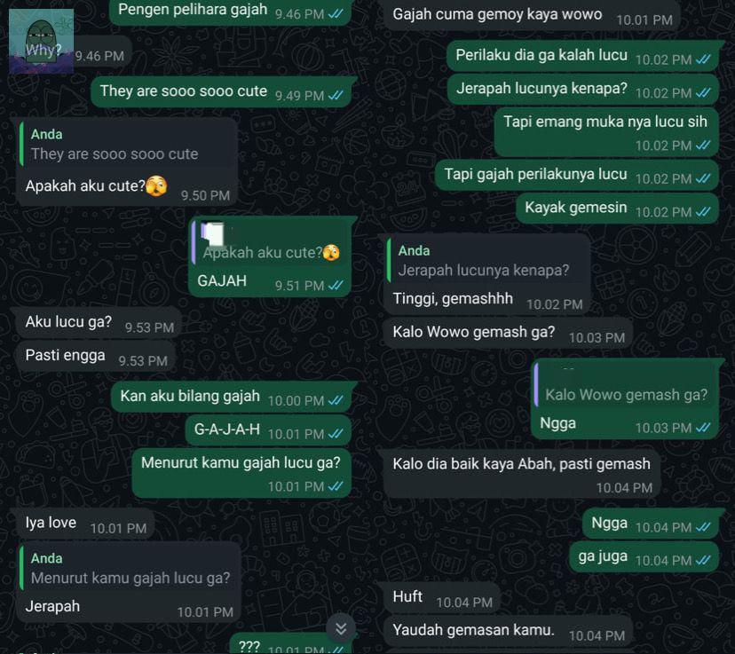 Tanyarl 💚 tweet media