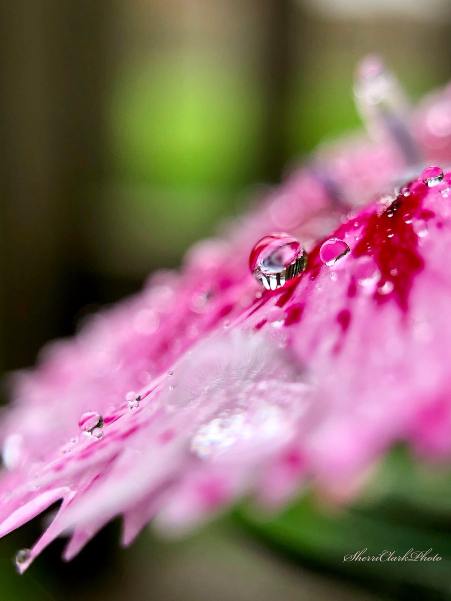 iphone12 - Search / X