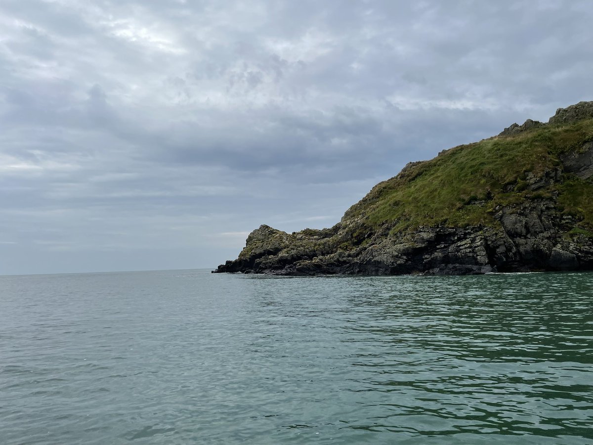 rowinggeek's tweet image. I am a morning person. The dolphins (or more probably porpoises) were out in Carmarthen Bay first thing 😍 Lovely rowing conditions…