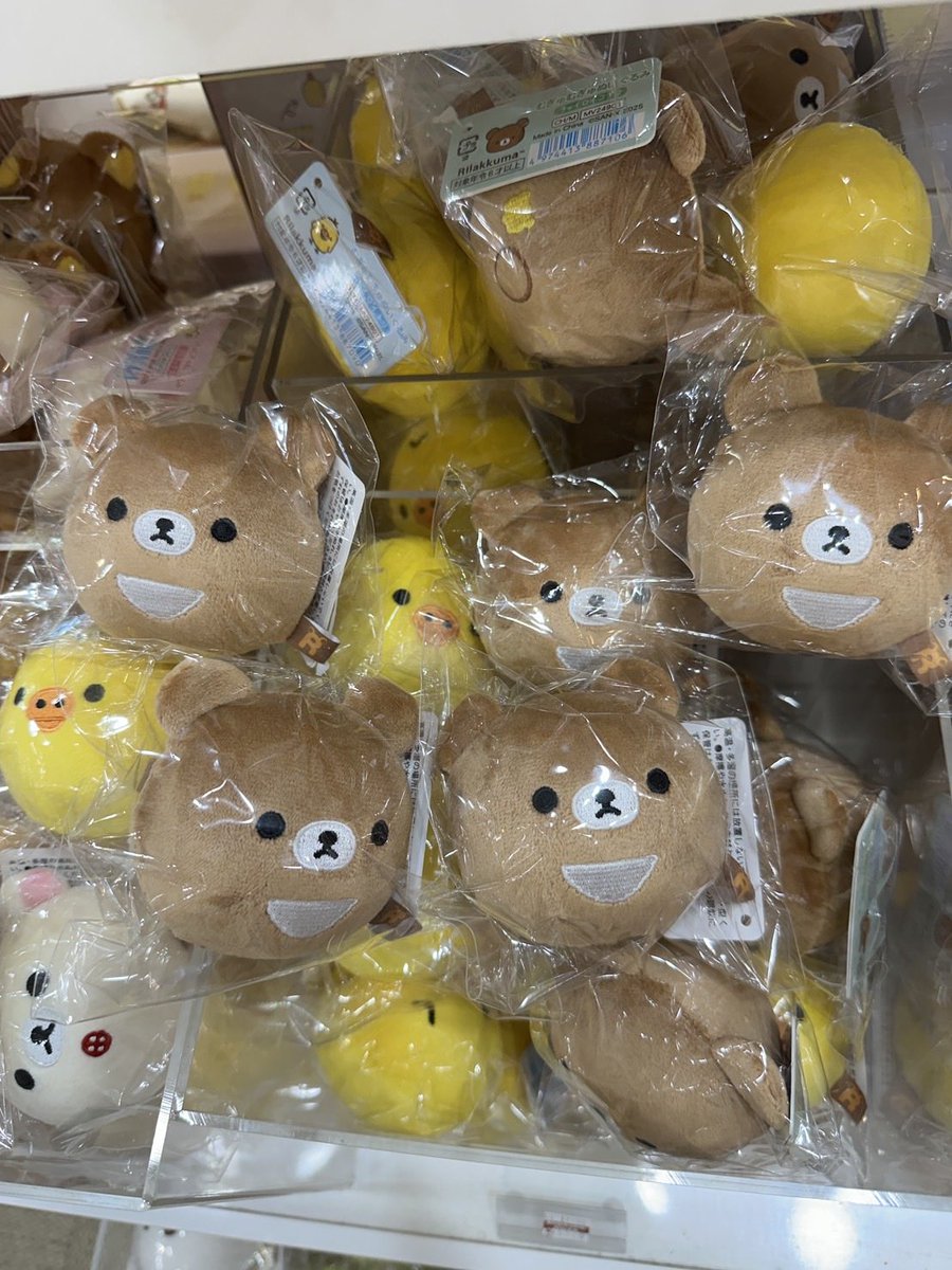 rilakkumaruuu's tweet image. 湧きどころ🐻🫶🏻